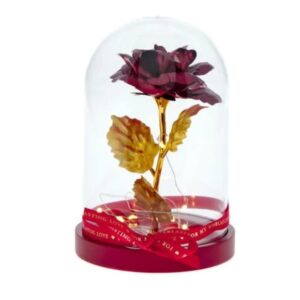 Everlasting Love Light-Up Rose in a Dome